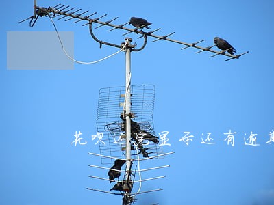 花呗还完显示还有逾期 花呗还完显示还有逾期