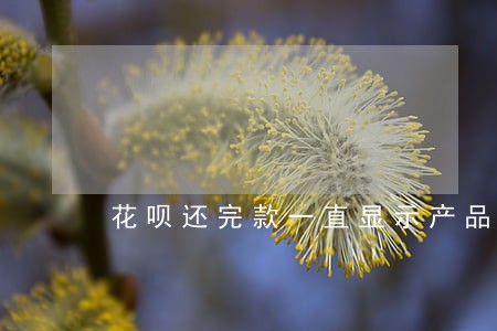 花呗还完款一直显示产品有逾期 花呗还完款一直显示产品有逾期