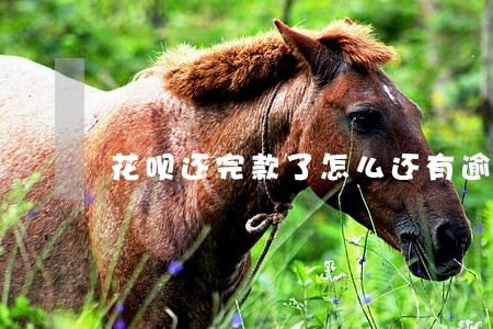花呗还完款了怎么还有逾期记录 花呗还完款了怎么还有逾期记录