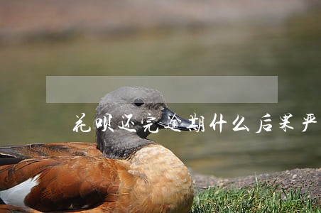 花呗还完逾期什么后果严重 花呗还完逾期什么后果严重