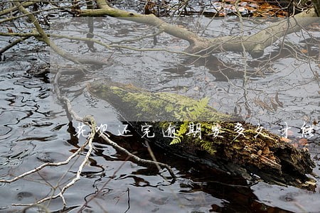 花呗还完逾期要多久才能恢复使用 花呗还完逾期要多久才能恢复使用