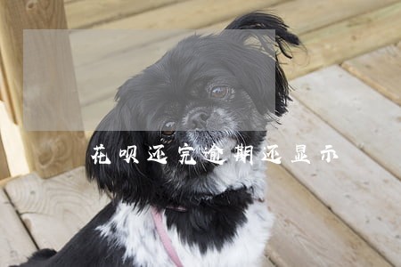 花呗还完逾期还显示 花呗还完逾期还显示