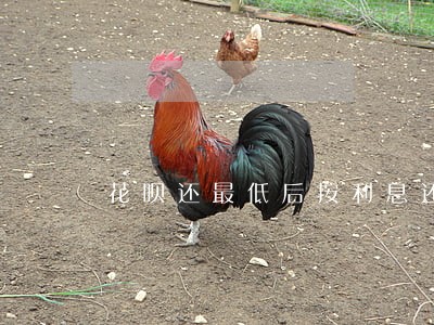 花呗还最低后按利息还算逾期吗 花呗还最低后按利息还算逾期吗