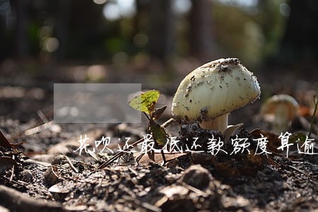 花呗还最低还款额度算逾期吗 花呗还最低还款额度算逾期吗