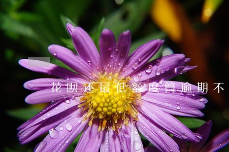 花呗还最低额度算逾期不 花呗还最低额度算逾期不