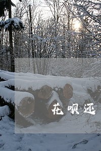 花呗还有逾期账单会怎么样 花呗还有逾期账单会怎么样
