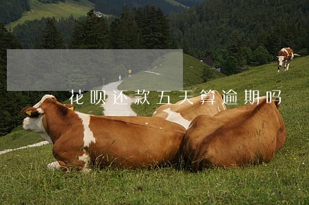 花呗还款五天算逾期吗 花呗还款五天算逾期吗