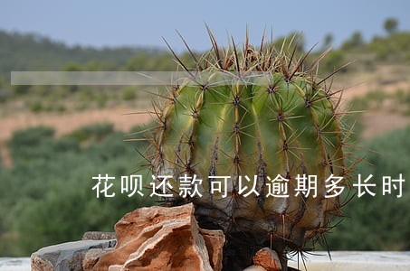花呗还款可以逾期多长时间 花呗还款可以逾期多长时间