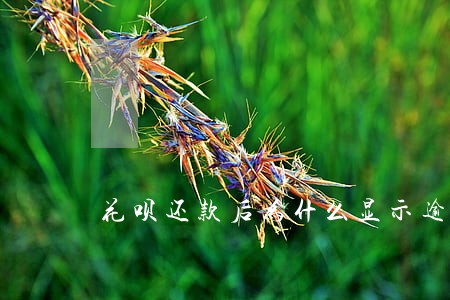 花呗还款后为什么显示逾期 花呗还款后为什么显示逾期