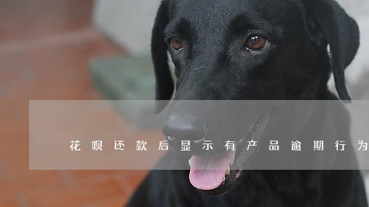花呗还款后显示有产品逾期行为 花呗还款后显示有产品逾期行为