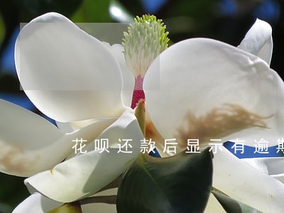 花呗还款后显示有逾期 花呗还款后显示有逾期