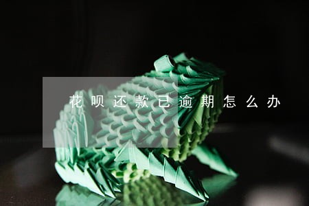 花呗还款已逾期怎么办 花呗还款已逾期怎么办