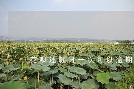 花呗还款日一次可以逾期多久 花呗还款日一次可以逾期多久