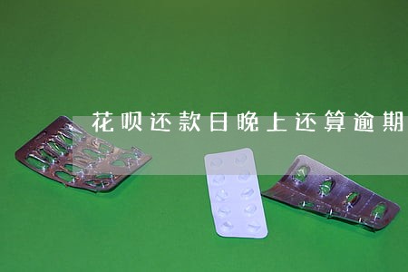 花呗还款日晚上还算逾期吗 花呗还款日晚上还算逾期吗
