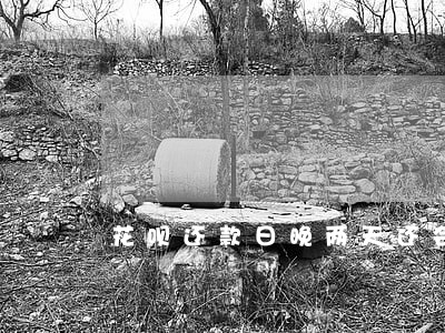 花呗还款日晚两天还会逾期吗 花呗还款日晚两天还会逾期吗