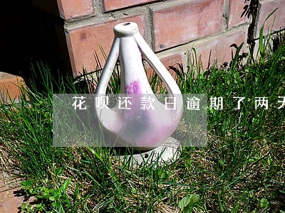 花呗还款日逾期了两天会怎么样 花呗还款日逾期了两天会怎么样