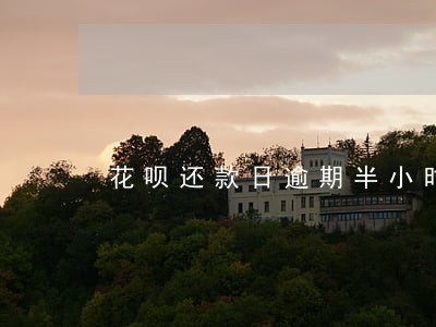 花呗还款日逾期半小时 花呗还款日逾期半小时
