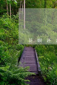 花呗还款日逾期费用 花呗还款日逾期费用