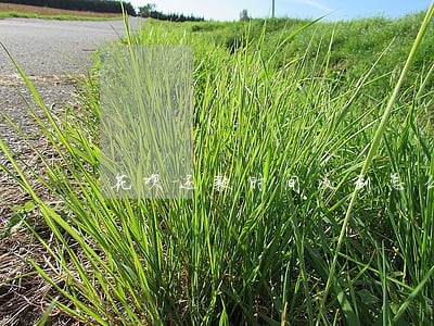 花呗还款时间没到怎么就逾期了 花呗还款时间没到怎么就逾期了