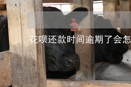 花呗还款时间逾期了会怎么样 花呗还款时间逾期了会怎么样
