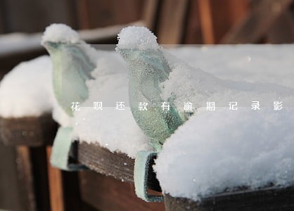 花呗还款有逾期记录影响房贷吗 花呗还款有逾期记录影响房贷吗