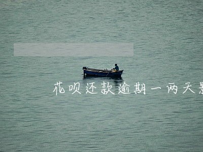 花呗还款逾期一两天影响征信吗 花呗还款逾期一两天影响征信吗