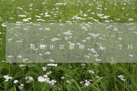 花呗还款逾期一天一个月会怎样 花呗还款逾期一天一个月会怎样