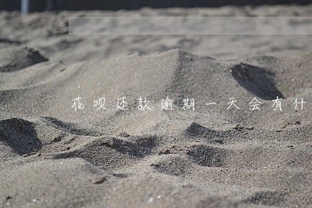 花呗还款逾期一天会有什么后果