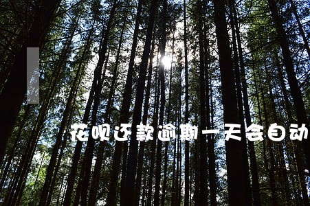 花呗还款逾期一天会自动扣款吗 花呗还款逾期一天会自动扣款吗
