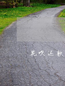 花呗还款逾期一天借贷是否有影响