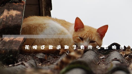 花呗还款逾期了有什么影响吗 花呗还款逾期了有什么影响吗