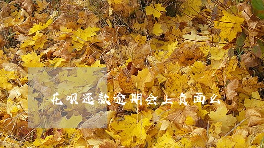 花呗还款逾期会上负面么 花呗还款逾期会上负面么