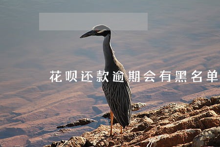 花呗还款逾期会有黑名单吗 花呗还款逾期会有黑名单吗