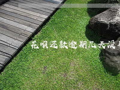 花呗还款逾期几天没事吧 花呗还款逾期几天没事吧