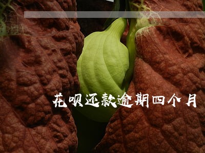花呗还款逾期四个月