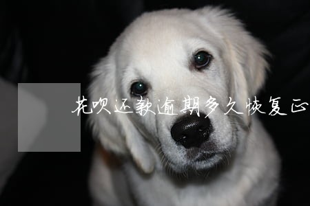 花呗还款逾期多久恢复正常 花呗还款逾期多久恢复正常