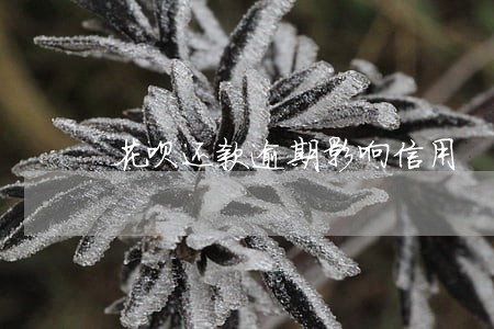 花呗还款逾期影响信用 花呗还款逾期影响信用
