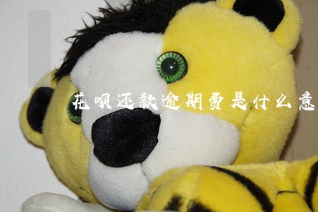 花呗还款逾期费是什么意思