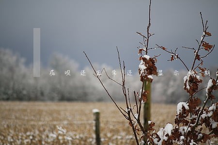 花呗还正常还款显示逾期 花呗还正常还款显示逾期