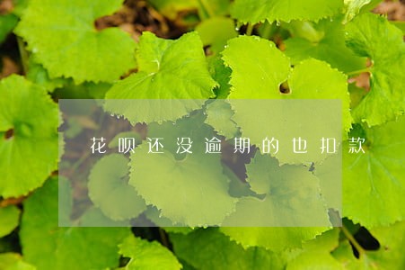 花呗还没逾期的也扣款 花呗还没逾期的也扣款