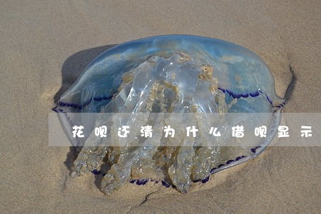 花呗还清为什么借呗显示花呗逾期