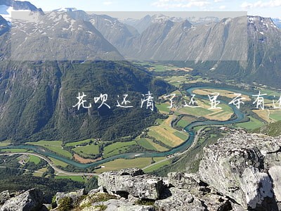 花呗还清了还显示有逾期