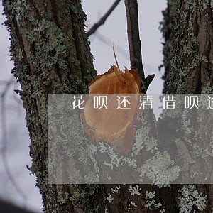 花呗还清借呗逾期