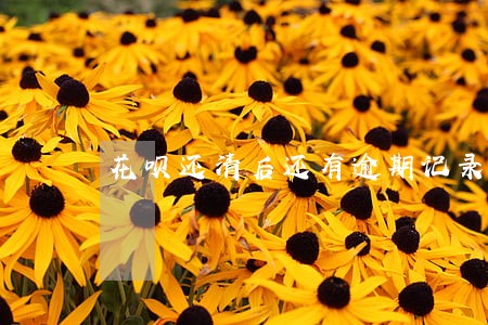 花呗还清后还有逾期记录吗
