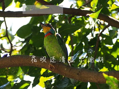 花呗还清显示逾期 花呗还清显示逾期