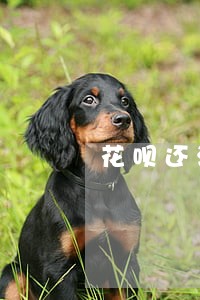 花呗还清逾期为什么还要还