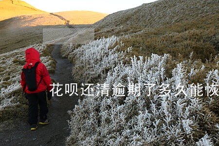 花呗还清逾期了多久能恢复正常