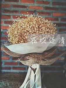 花呗还清逾期后多长时间可以恢复