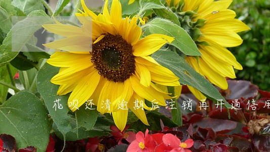 花呗还清逾期后注销再开通信用分 花呗还清逾期后注销再开通信用分