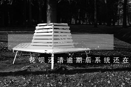 花呗还清逾期后系统还在扣款